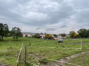IMG_5920