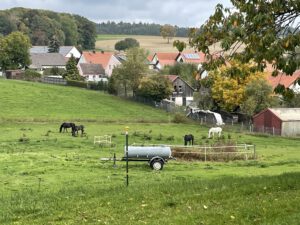 IMG_5971